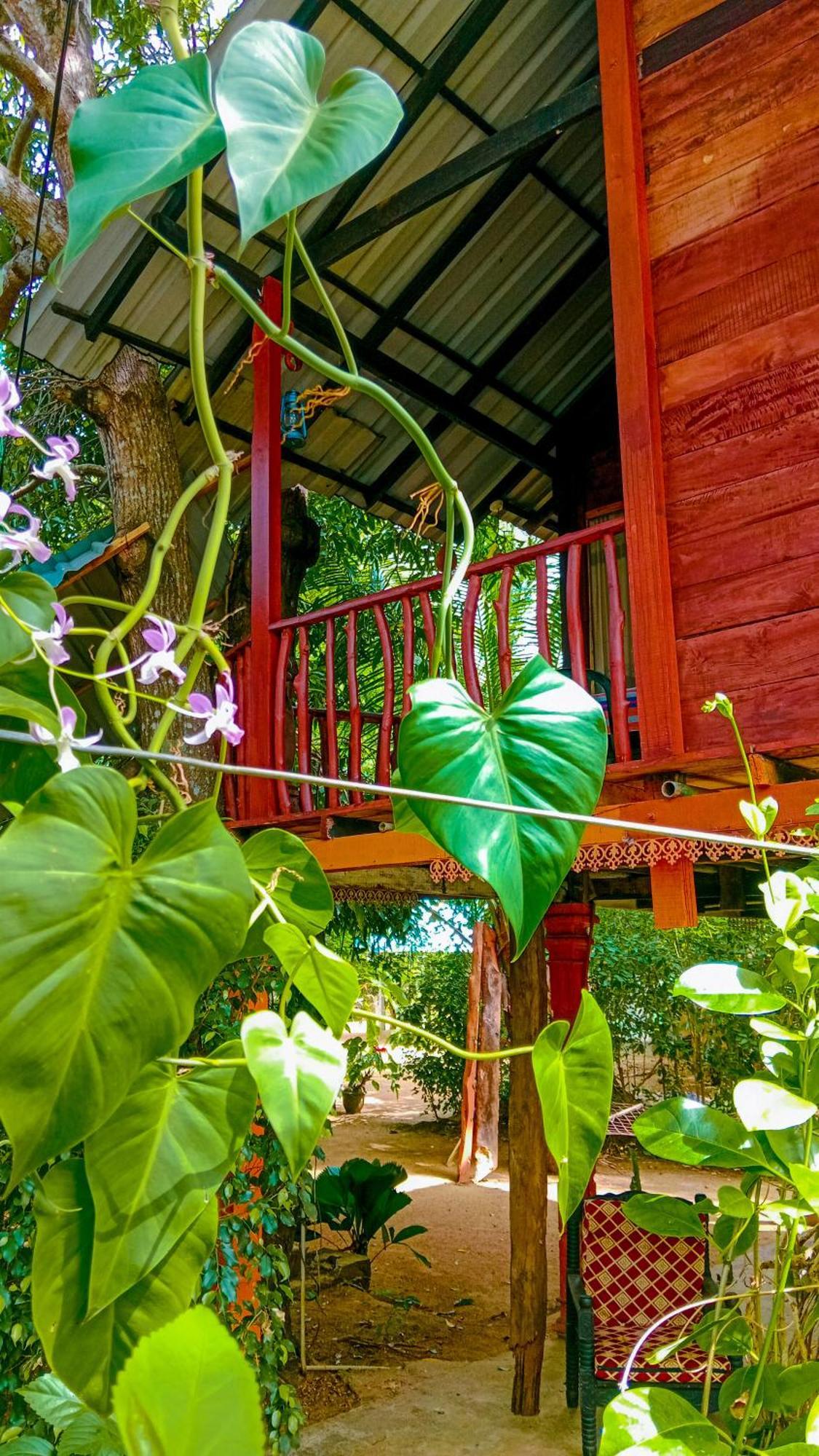 Sigiri Sky Home & Treehouse Сігірія Екстер'єр фото