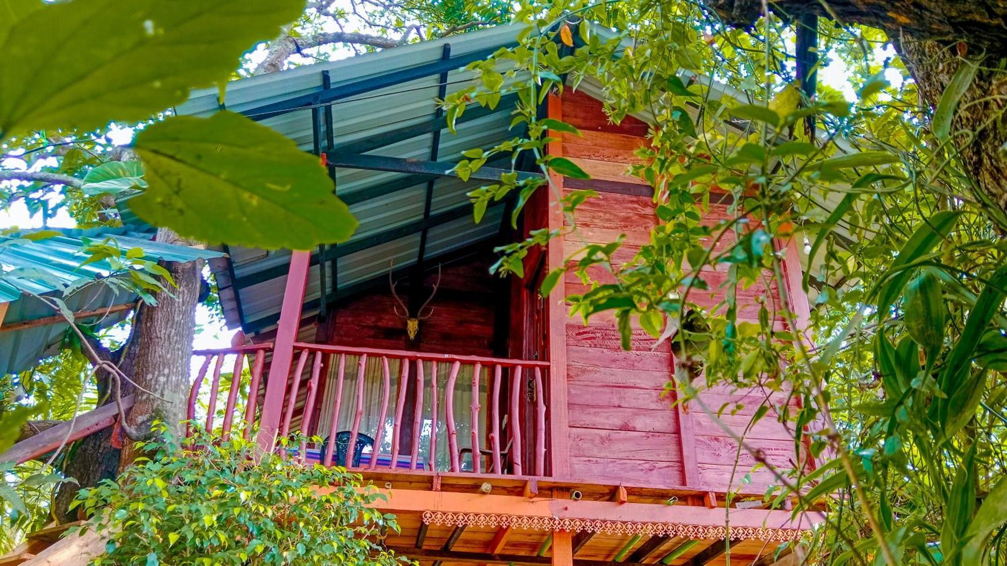 Sigiri Sky Home & Treehouse Сігірія Екстер'єр фото